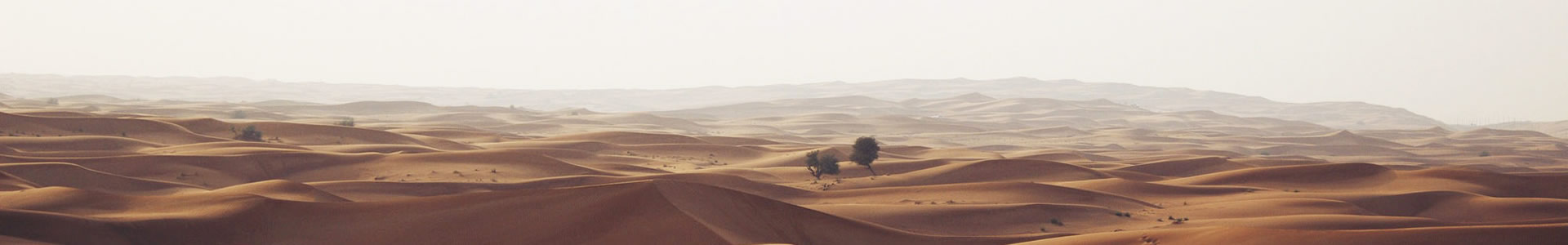 -Ƽ޹˾